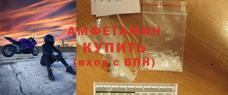 Amphetamine Розовый  Борзя 