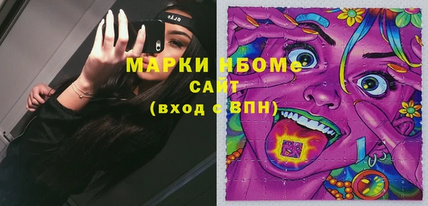 дживик Вязьма